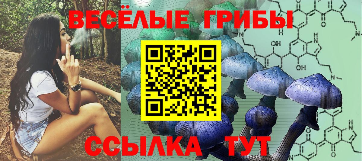 Псилоцибиновые грибы ЛСД  Вход с VPN  Ульяновск 